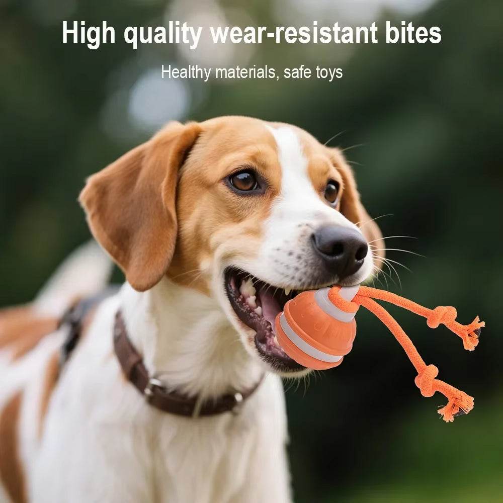 Cat Dog Interactive Ball Toy Automatic Rolling Ball Faux Tail Rechargeable Smart Pet Electric Toy Dog Cat Training Imitate Mouse